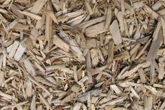 biomass boilers Hallspill